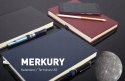 Kalendarz książkowy A5 2026 dzienny dla biznesmenów Opus Merkury Czarny