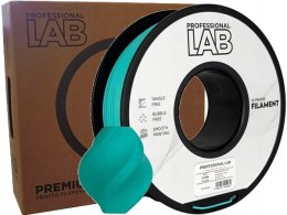Profesjonalny Filament PLA Cyan 1kg netto 1,75mm Professjonal LAB