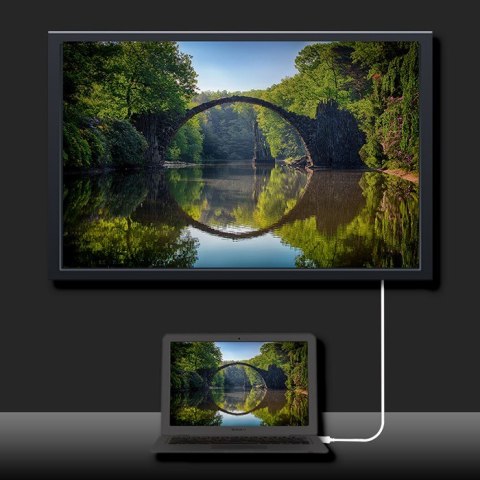 Qoltec DisplayPort Alternate mode | USB 3.1 typ C męski | Displayport męski | 5K | 1m