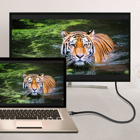 Qoltec Kabel Adapter USB-C na HDMI high speed 4K | 60Hz | 32AWG | 2m